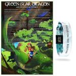 Green Star Dragon poster wristband bundle